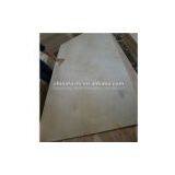 Birch Plywood Surface of the Middle East(Complete in Specifications) thumbnail-3