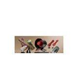 Car Alarm System ( Car Alarm, Auto Alarm System)