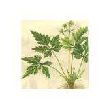 Berberine Hydrochloride