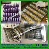 2 Moulds Popsicle Machine / Ice Lolly Machine / Popsicle Maker Making Manufacturer thumbnail-6