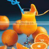 Hot Fruit and Vegetable Juicer With Crusher /Juice Production Line thumbnail-5