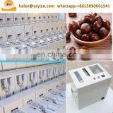 Chestnut Cutting Machine for Chestnut Opening Equipment Manufacturers thumbnail-3
