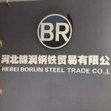 Hebei Borun Steel Trade Co., Ltd company overview - view 2 thumbnail
