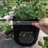 3 Gallon 5 Gallon 7 Gallon 10 Gallon 100 Gallon 200 Gallon Aeration Fabric Plant Grow Pot Garden Potato Felt Planter Grow Bags thumbnail-3
