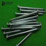 Galvanized Steel Concrete Nail Use for Construction Masonry Nails Steel Nails thumbnail-4