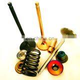 Engine Valve Spare Part Race Car for Nissan Silvia Altima Palatin D22 Navara KA24 DE KA24DE 2.4L 16V 240SX 1320153F02 1320253F00 thumbnail-2