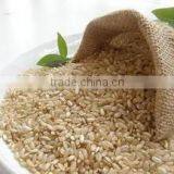 Brown Rice thumbnail-1