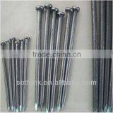 High Quality Common Wire Nails thumbnail-1