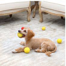 Squeaky Ball thumbnail-3