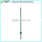 USA Standard Green Painted t Post Wholesale