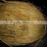 Coconut for Sale thumbnail-1