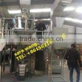 Automatic Vertical Potato Chips Packing Machine