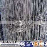 Hot Dip Galvanized Hinged Joint or Field Fence or Cattle Fence or Field Fencing or Grassland Fence (Since 1989)