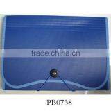 Fashion PVC Waterproof Document File Bag