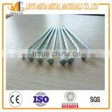 Different Size Galvanized Grooved Shank Concrete Nails thumbnail-2