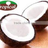 EXTRA VIRGIN COCONUT OIL PREMIUM thumbnail-1
