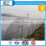 Long Lasting Garden Anti Insect Net