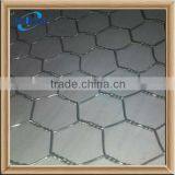 Stainless Steel Hexagon Wire Fence Net