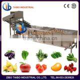 Professional Commercial Fruit and Vegetable Washing Machine SS304