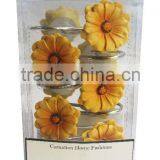 Shower Curtain Hook With Flower Design
