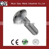 Stainless Steel Security Screw