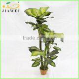 Decorative Artificial Big Leaves Dieffenbachia Plant Trees Plastic Trunk