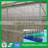 fire resistant unbreakable greenhouse polycarbonate corrugated sheet