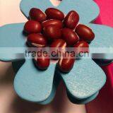 Organic Chinese Adzuki Bean( 2010 Crop) Hps thumbnail-1