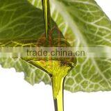 Lettuce Oil thumbnail-1