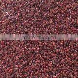 Round Red Chilli thumbnail-5