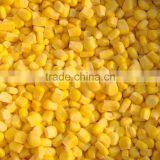 2015 Fresh Crop Canned Sweet Corn