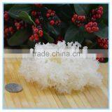 Chinese Chrysanthemum Mushroom Tremella Fuciformis thumbnail-1