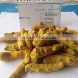 Turmeric Health Benefits thumbnail-1