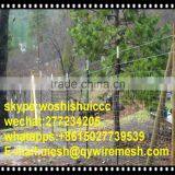 Security Fence of Pasture Fence Wire Mesh, Used Horse Fence Panels, Deer Fence for Sale thumbnail-3