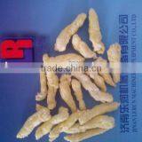 Kukure Snacks Processing Machine thumbnail-1