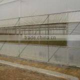 Low Price Tunnel Agriculture Greenhouse for Vegetable thumbnail-3