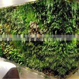 Fake Plant Wall Decoration Decoration Plant Fake Green Wall thumbnail-3