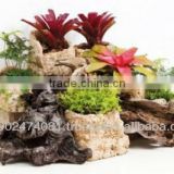 Sponge stone Flower Pot And Planter