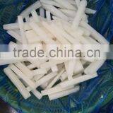 Giant Squid Strip thumbnail-2