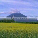 Real Estate Niseko, Hokkaido, Japan thumbnail-2