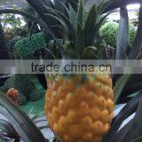 Artificial Pineapple Tree, Artificial Tree, Artificial Apple Tree thumbnail-6