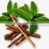 Cinnamon Leaf Oil thumbnail-3