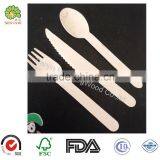 Disposable Flatware Fork Knife Spoon thumbnail-6