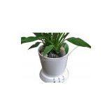 USB Flowerpot thumbnail-1