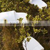 Personalized Closed Toe Disposable Hotel Waffle Slipper thumbnail-4