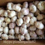 4.5cm 5cm 5.5cm Normal White Garlic Small Packing 1n 10kg Carton Box thumbnail-5