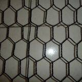 Chicken Wire Netting Stainless Steel Mesh Of Size 3'x100'