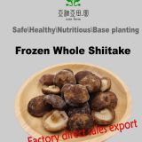 frozen whole shiitake\HACCP\ISO22000\BRC\Halal