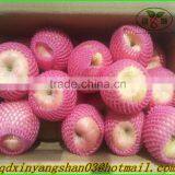 Chinese Red Fuji Apple/Apple Fresh thumbnail-1