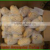 Air Dry Ginger:Give You the Best Price/best Quality thumbnail-4